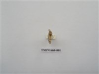 藏品(尺蠖蛾科)的圖片